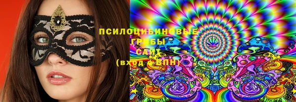 ГАЛЛЮЦИНОГЕННЫЕ ГРИБЫ Арсеньев