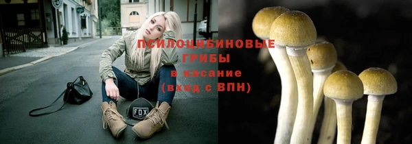 ГАЛЛЮЦИНОГЕННЫЕ ГРИБЫ Арсеньев