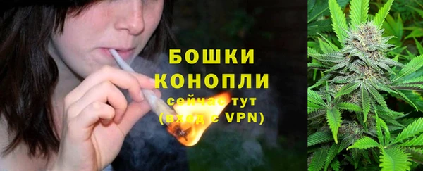 ГАЛЛЮЦИНОГЕННЫЕ ГРИБЫ Арсеньев